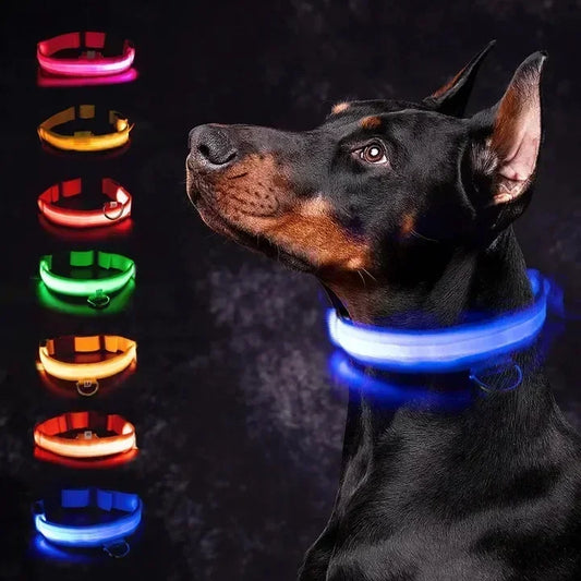 LED-veiligheidsriem voor honden